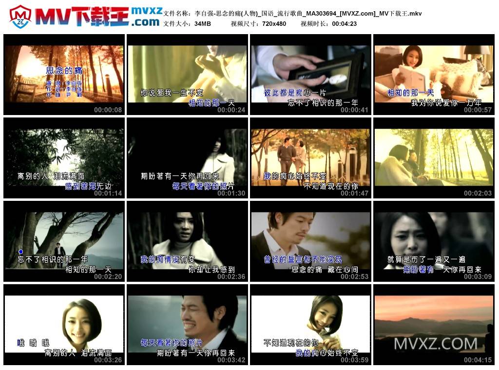 李自强-思念的痛(人物)_国语_流行歌曲_MA303694